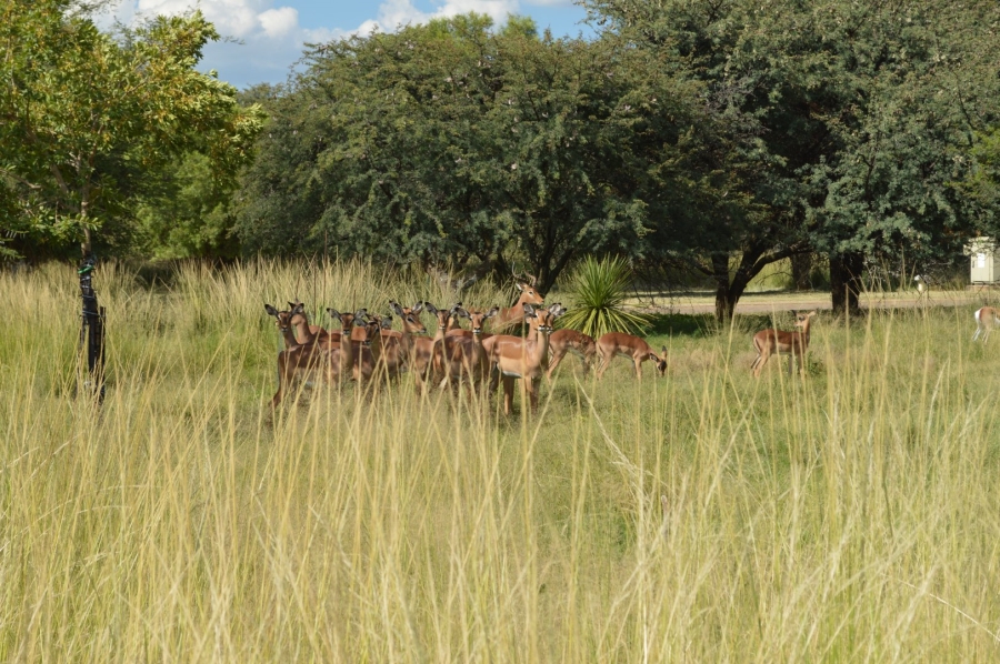 3 Bedroom Property for Sale in Wilkoppies North West